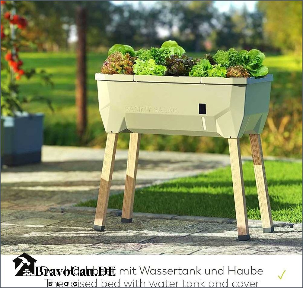 Hochbeet mit Haube bei Aldi - Die besten Angebote und Tipps Hochbeet mit Haube bei Aldi - Die besten Angebote und Tipps