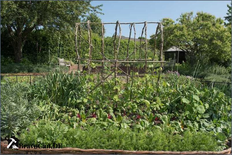 Hochbett für den Garten - Platz sparen und Gemüse anbauen