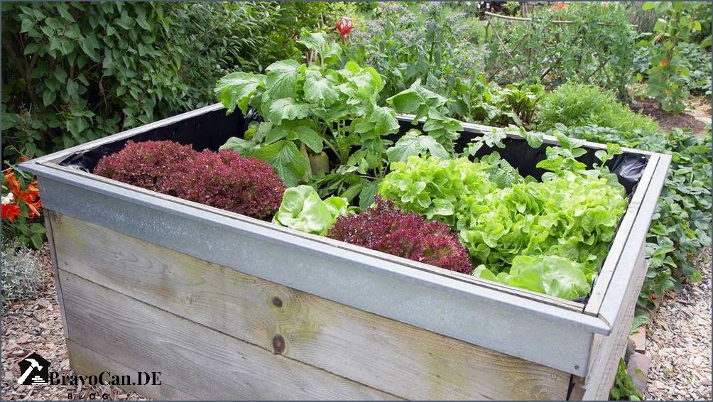 Hochbett für den Garten - Platz sparen und Gemüse anbauen
