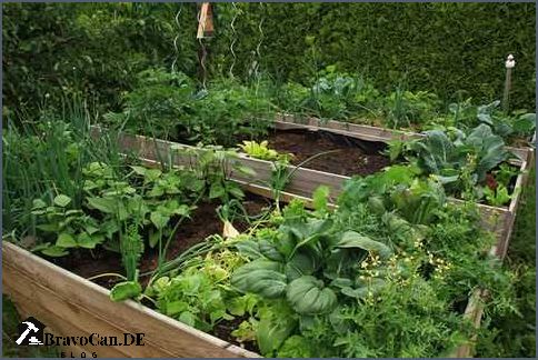 Hochbett für den Garten - Platz sparen und Gemüse anbauen