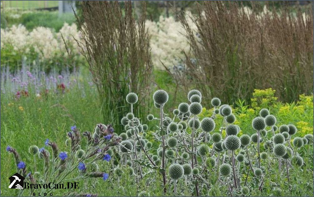 Hohe Stauden als Sichtschutz - Tipps und Ideen für den Garten