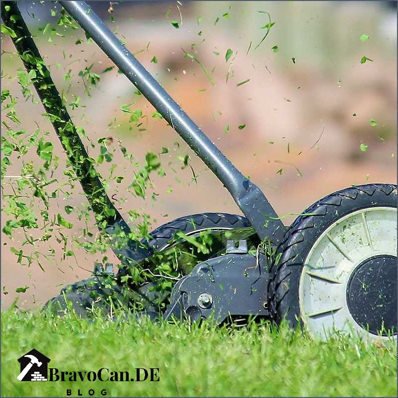 Hohes Gras mähen Tipps und Tricks für die richtige Rasenpflege Hohes Gras mähen Tipps und Tricks für die richtige Rasenpflege