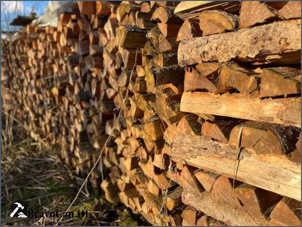 Holz Spalten Nass Oder Trocken