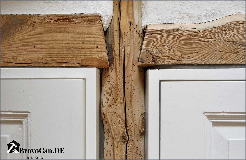 Holzwurm in Möbeln Wie man einen Holzwurmbefall erkennt und bekämpft