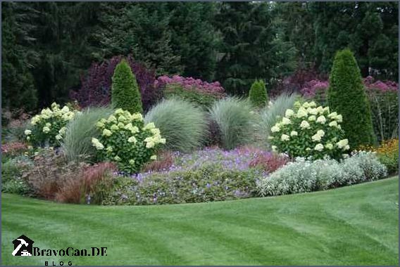 Hortensie Annabelle kombinieren - Tipps und Ideen für die Gartengestaltung