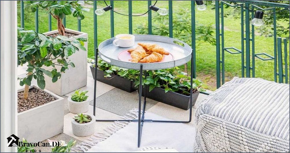 Immergrüne Pflanzen für den Balkon - Tipps und Ideen Immergrüne Pflanzen für den Balkon - Tipps und Ideen