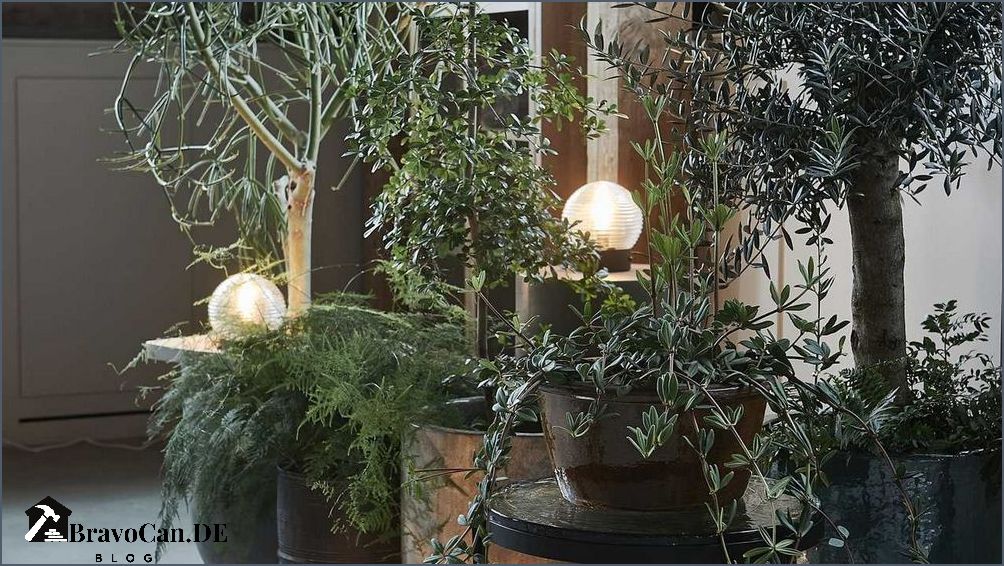 Indoor-Baum Die perfekte Ergänzung für Ihr Zuhause
