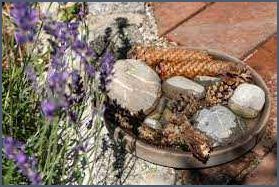 Insektentränke selber machen Tipps und Anleitungen für den eigenen Garten