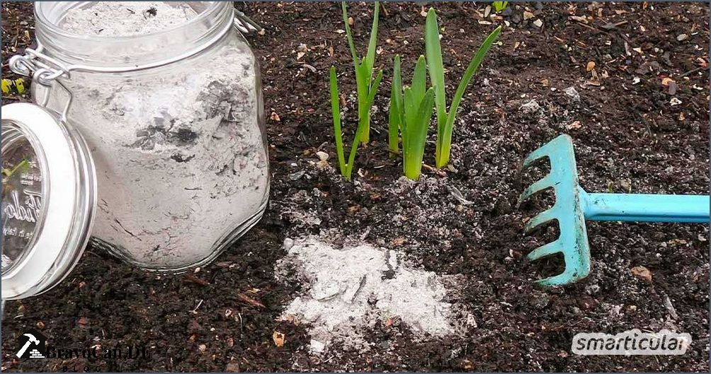Ist Asche gut für den Garten - Tipps und Tricks Ist Asche gut für den Garten - Tipps und Tricks
