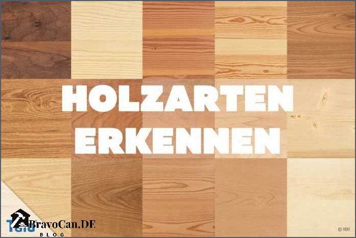 Ist Fichte Hartholz Alles was Sie wissen müssen Ist Fichte Hartholz Alles was Sie wissen müssen