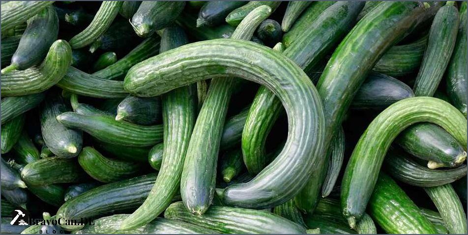 Ist Gurke Obst oder Gemüse - Alles was Sie wissen müssen