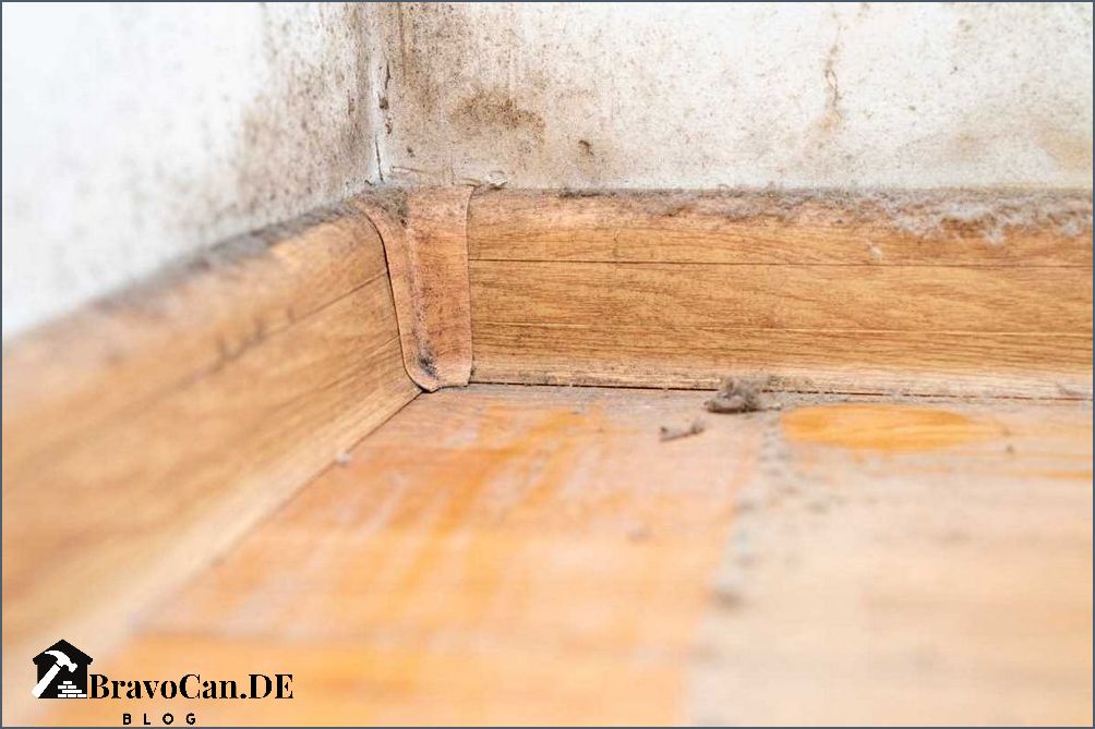 Ist weißer Schimmel auf Holz gefährlich Erfahren Sie hier mehr