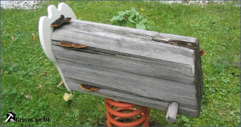 Ist weißer Schimmel auf Holz gefährlich Erfahren Sie hier mehr
