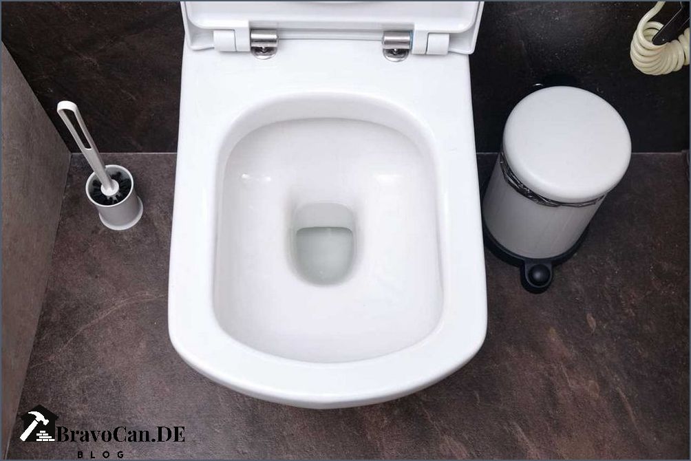 Kalkspuren Toilette entfernen Tipps und Tricks für eine gründliche Reinigung