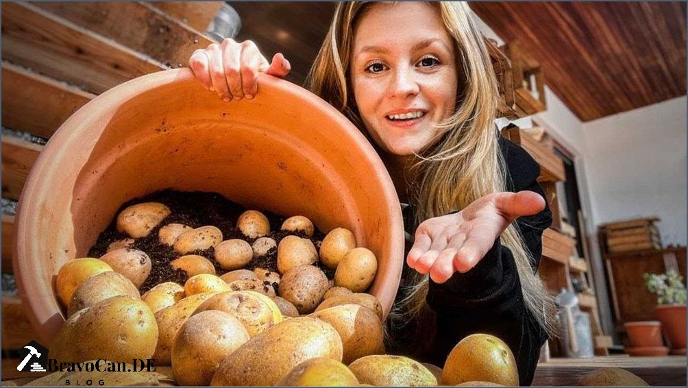 Kartoffeln im Herbst pflanzen Tipps und Tricks für eine erfolgreiche Ernte