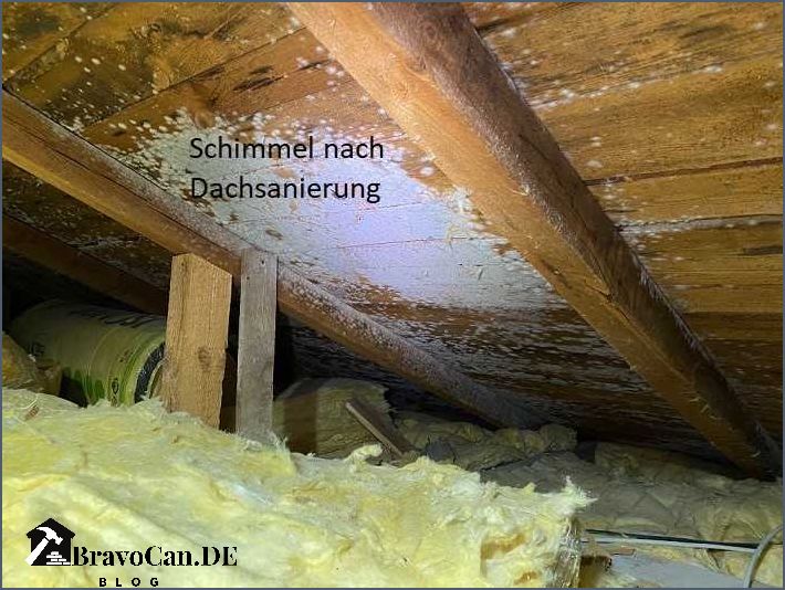 Kann Glaswolle schimmeln Die Wahrheit über Schimmelbildung in Glaswolle Kann Glaswolle schimmeln Die Wahrheit über Schimmelbildung in Glaswolle