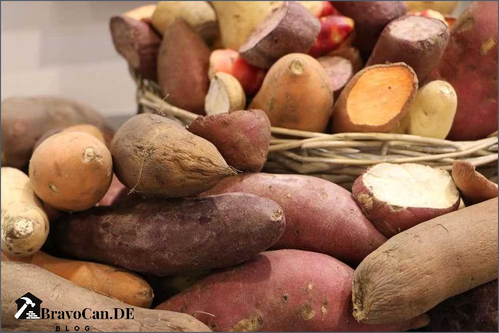 Kartoffeln zu spät ernten Auswirkungen Tipps und Fehlervermeidung