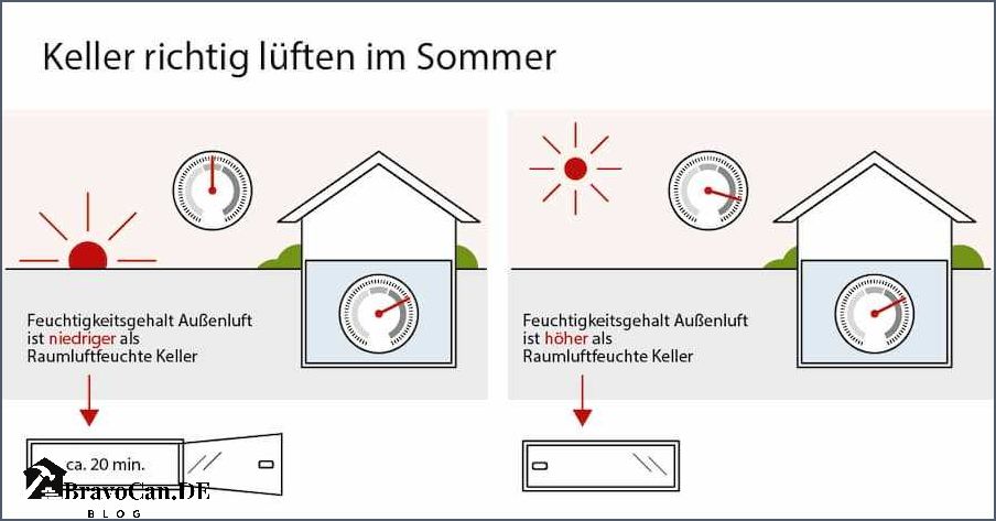 Keller im Sommer lüften Tipps und Tricks für ein gesundes Raumklima Keller im Sommer lüften Tipps und Tricks für ein gesundes Raumklima