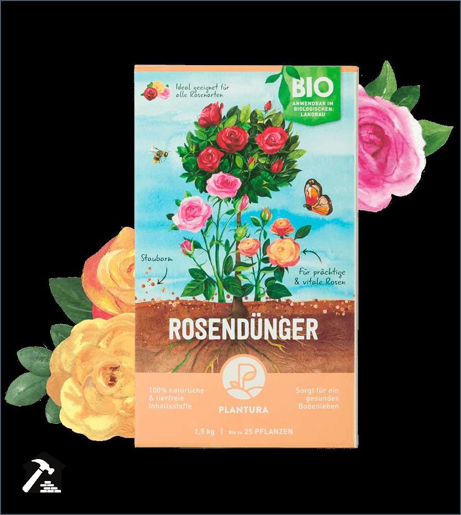 Kleine Rose im Topf Pflegeanleitung und Tipps für eine erfolgreiche Blüte Kleine Rose im Topf Pflegeanleitung und Tipps für eine erfolgreiche Blüte