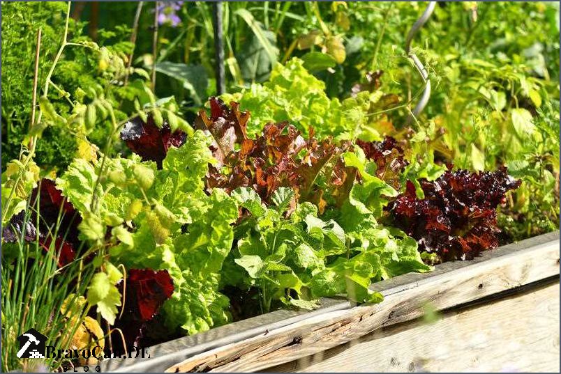 Kleines Hochbeet bepflanzen Tipps und Ideen für die optimale Bepflanzung Kleines Hochbeet bepflanzen Tipps und Ideen für die optimale Bepflanzung