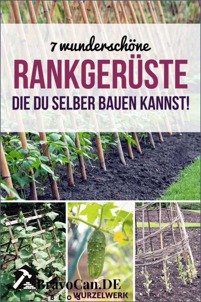 Kletterhilfe für Stangenbohnen Die besten Rankhilfen im Überblick