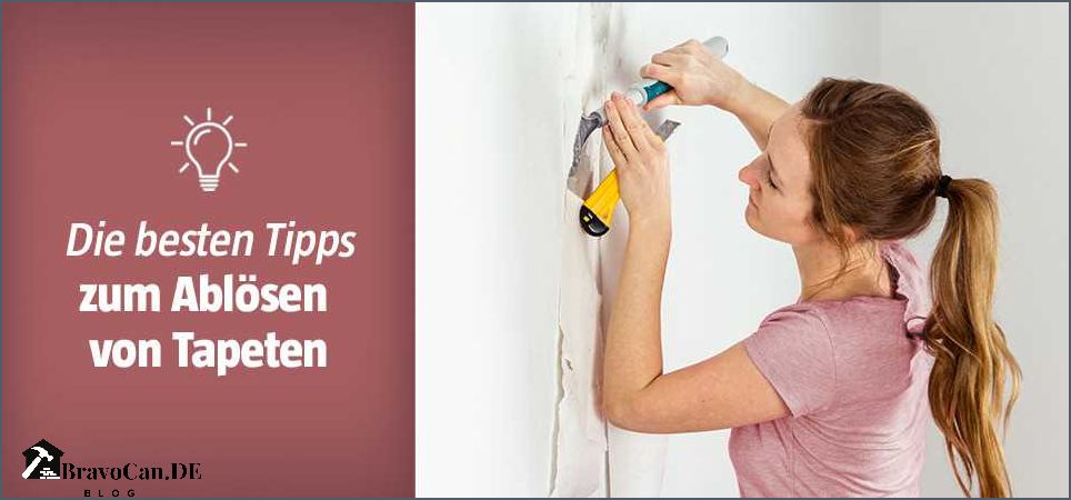 Tapeten Entfernen Kosten