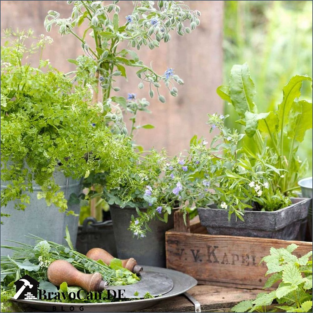 Kräutergarten anlegen Ideen und Tipps für die Gestaltung Kräutergarten anlegen Ideen und Tipps für die Gestaltung