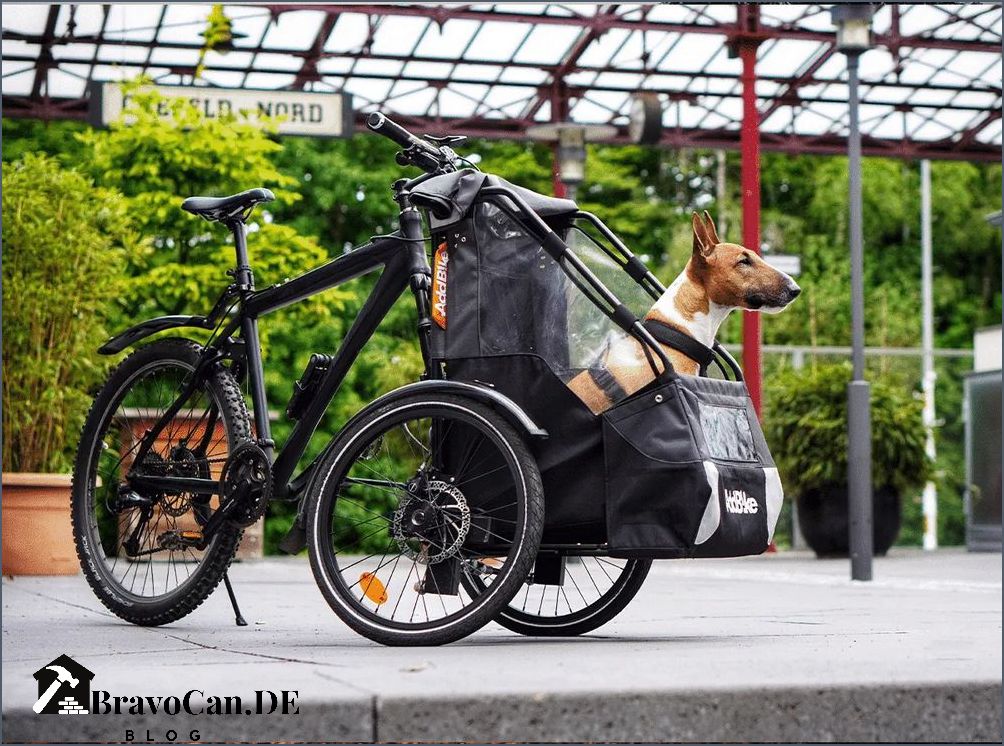 Lasten E bike Hund Das Perfekte Fahrrad F r Kinder Mit Hund Bravocan DE Lasten E bike Hund Das Perfekte Fahrrad F r Kinder Mit Hund Bravocan DE
