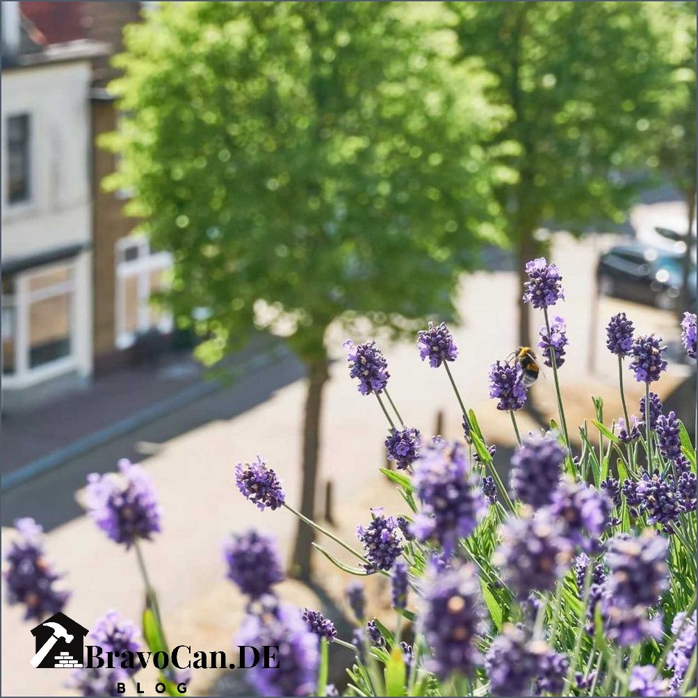 Lavendel im Kübel Tipps zur Pflege und Anwendung