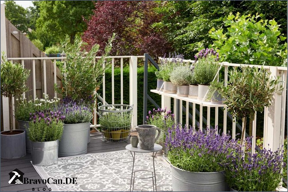 Lavendel Pflege auf dem Balkon Tipps und Tricks