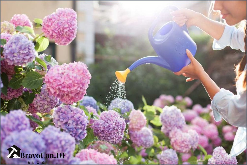 Lila Blume Garten Tipps und Tricks für einen farbenfrohen Garten Lila Blume Garten Tipps und Tricks für einen farbenfrohen Garten