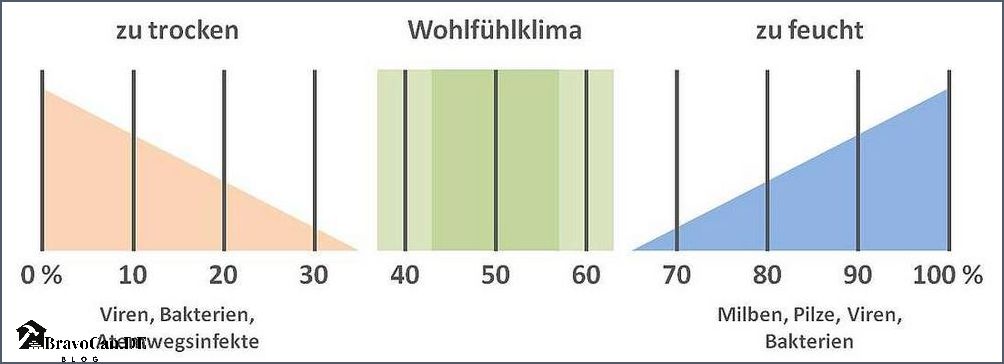 Keller 80 Luftfeuchtigkeit