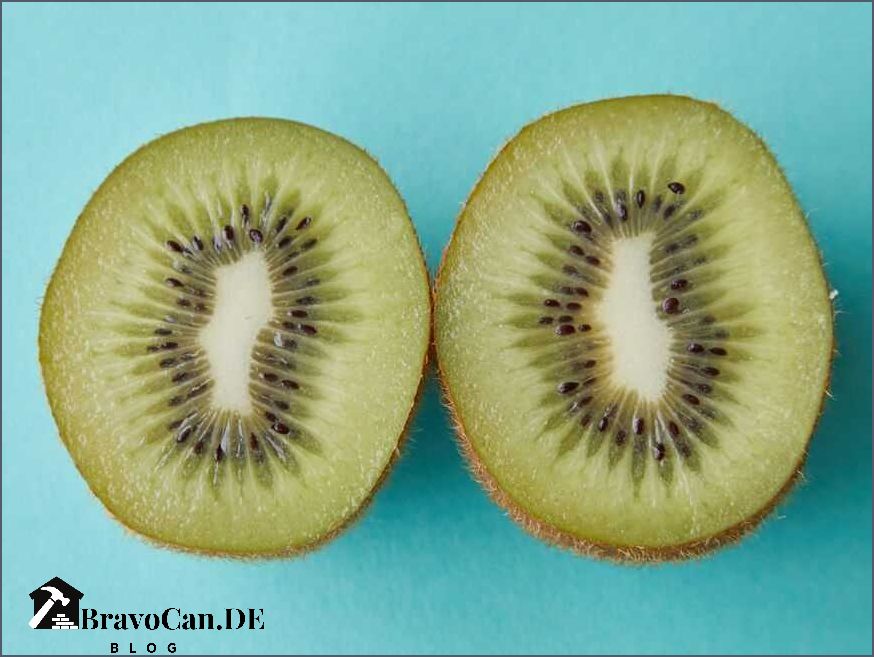 Mini Kiwi pflanzen Tipps und Anleitungen für den erfolgreichen Anbau