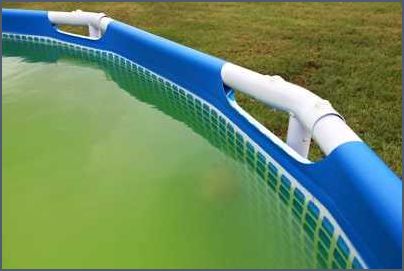 Natron gegen Algen im Pool - Effektive Methoden zur Bekämpfung Natron gegen Algen im Pool - Effektive Methoden zur Bekämpfung