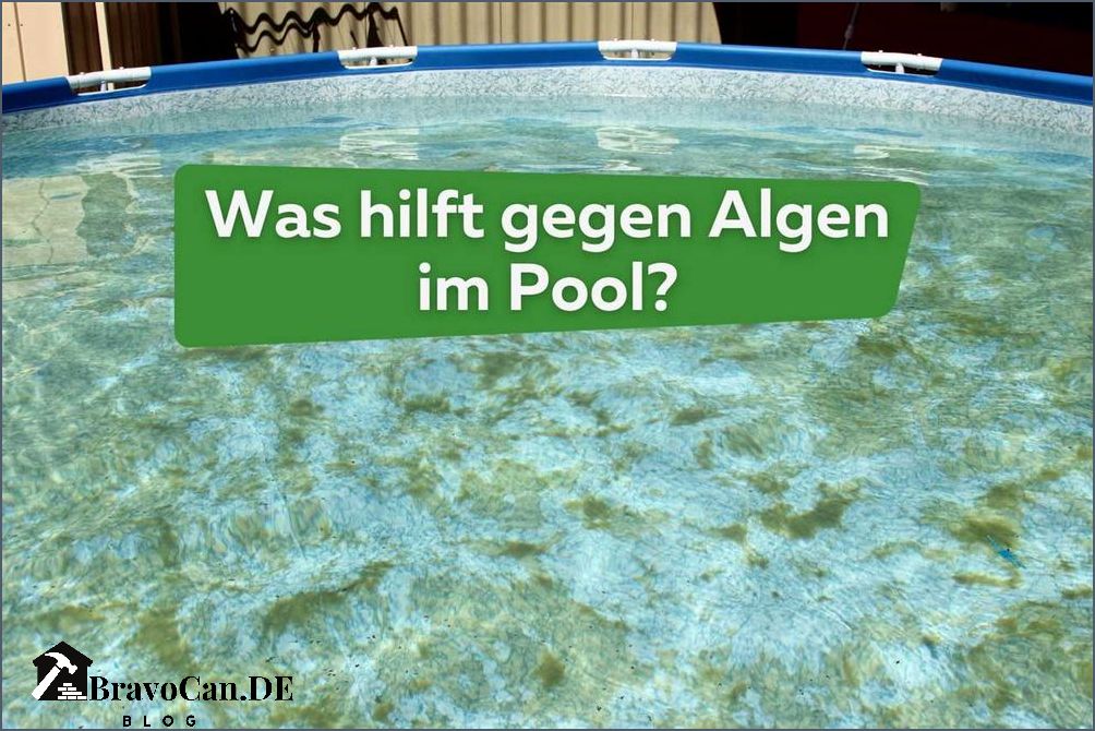 Vitamin C Gegen Algen Im Pool Dosierung Natron gegen Algen im Pool – Effektive Methoden zur Bekämpfung