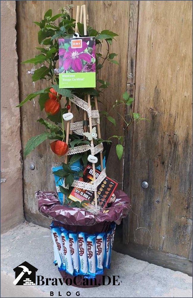 Originelle Pflanzen Geschenke - Entdecken Sie kreative Ideen für besondere Anlässe