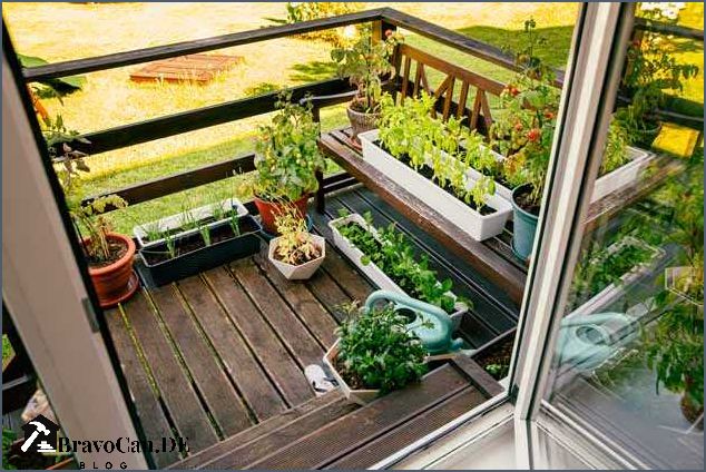 Palette Balkon Pflanzen Tipps und Ideen für eine grüne Oase Palette Balkon Pflanzen Tipps und Ideen für eine grüne Oase