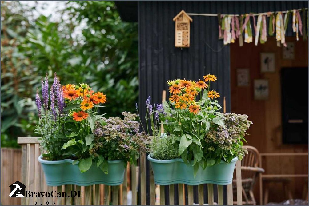 Pflanze mit u Die besten Pflanzen für den Garten und Innenräume Pflanze mit u Die besten Pflanzen für den Garten und Innenräume