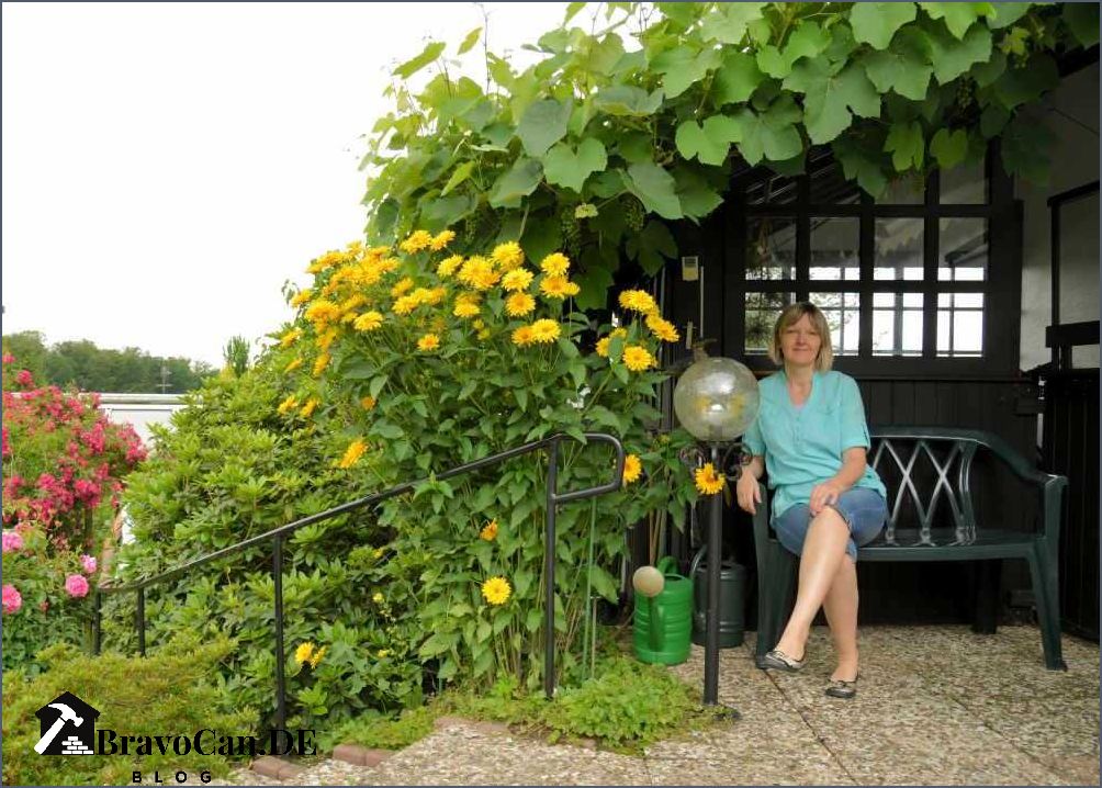 Wein Pergola bauen Tipps und Anleitung für den perfekten Weinanbau Wein Pergola bauen Tipps und Anleitung für den perfekten Weinanbau