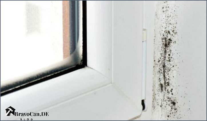 Fenster Schwitzen Von Innen