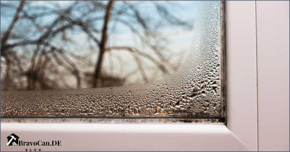Fenster Schwitzen Von Innen