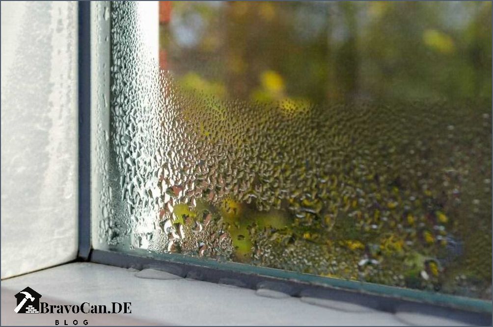 Fenster Schwitzen Von Innen