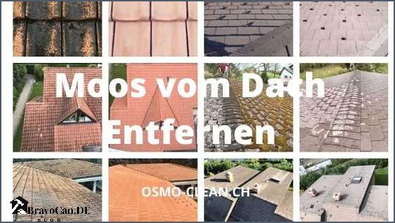 Moos auf dem Dach Ursachen Prävention und Entfernung Moos auf dem Dach Ursachen Prävention und Entfernung