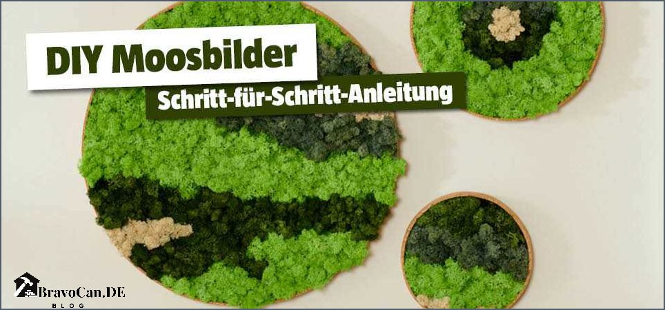 Moosbild selber machen Eine Schritt-für-Schritt-Anleitung