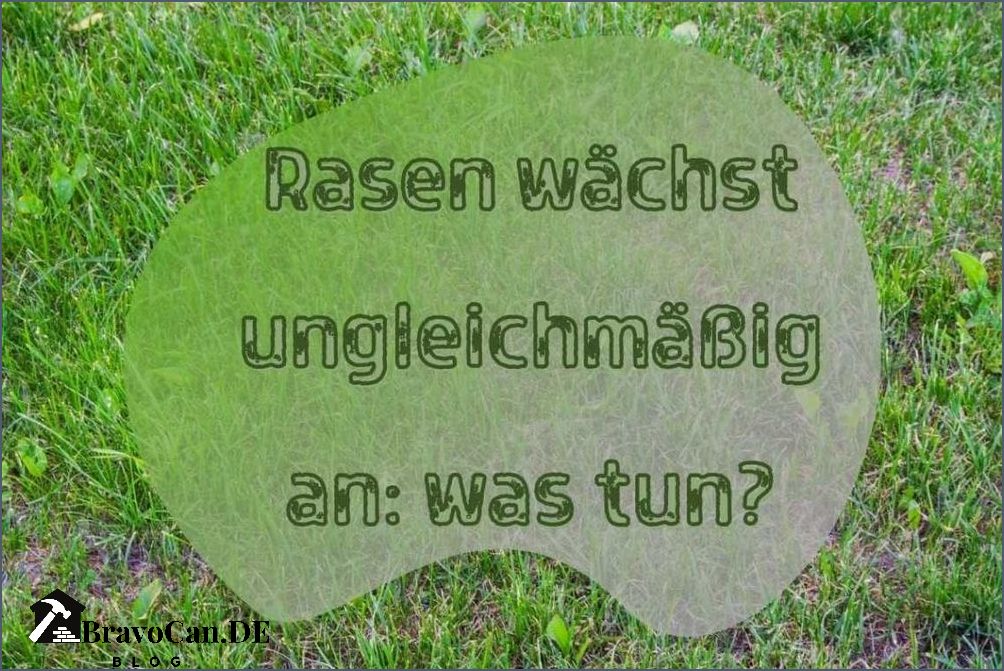 Neu gesäter Rasen Warum wächst er nicht dicht Neu gesäter Rasen Warum wächst er nicht dicht