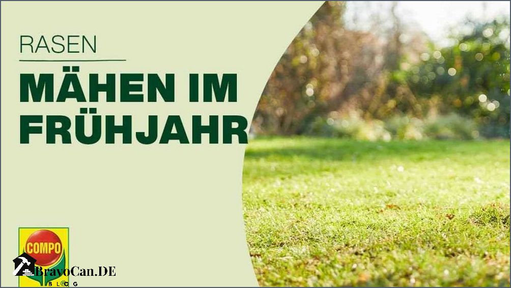 Neuen Rasen mähen Tipps und Tricks für einen perfekten Rasenschnitt