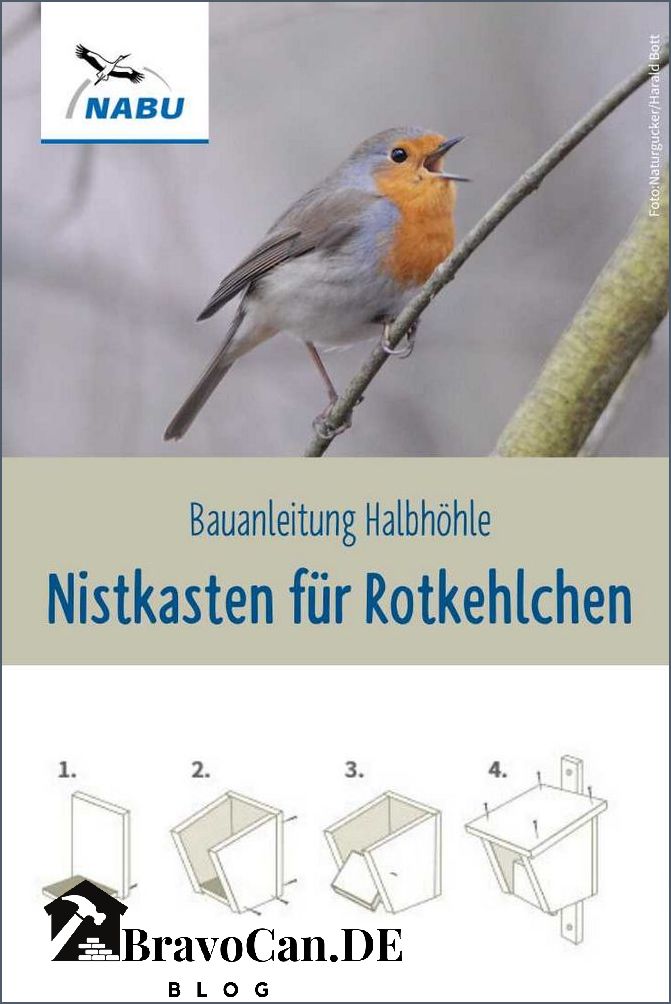 Nistkasten Bauanleitung für Rotkehlchen Tipps und Anleitungen Nistkasten Bauanleitung für Rotkehlchen Tipps und Anleitungen