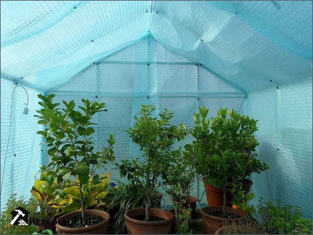 Noppenfolie für Gewächshaus Vorteile Anwendung und Tipps Noppenfolie für Gewächshaus Vorteile Anwendung und Tipps