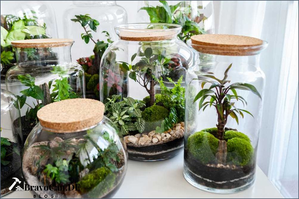 Ökosystem im Glas Wie man ein eigenes Mini-Ökosystem erschafft