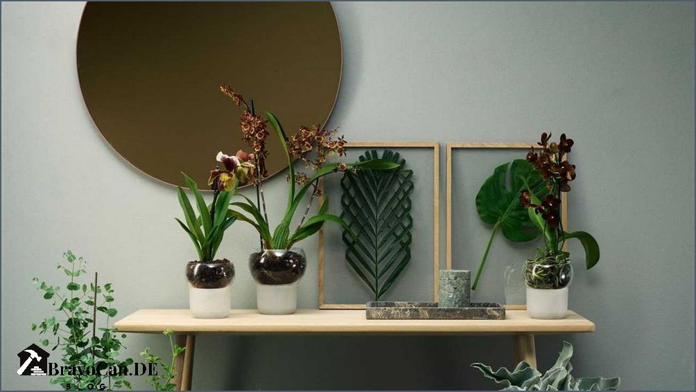 Orchideen im Topf Tipps für die Pflege und Gestaltung